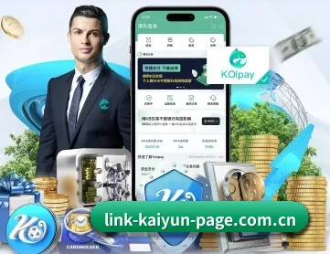 开云网页登陆 APP 深度功能 | kaiyun